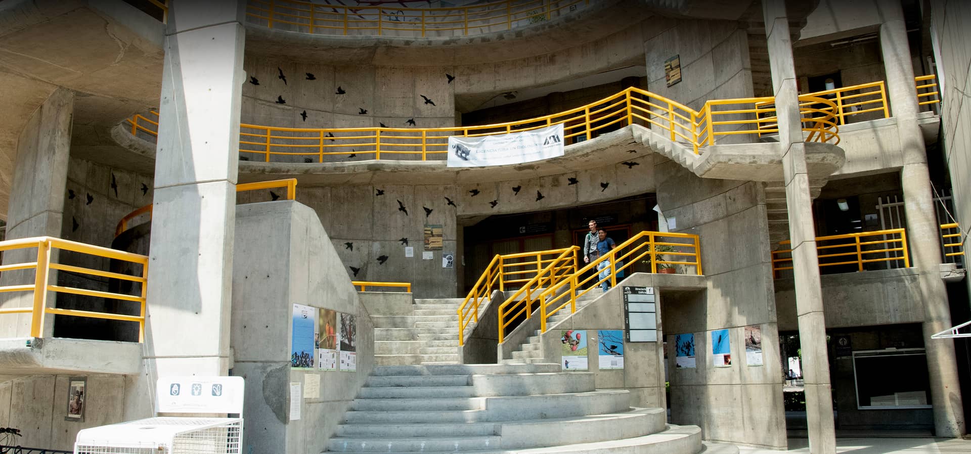 Rectángulo 211