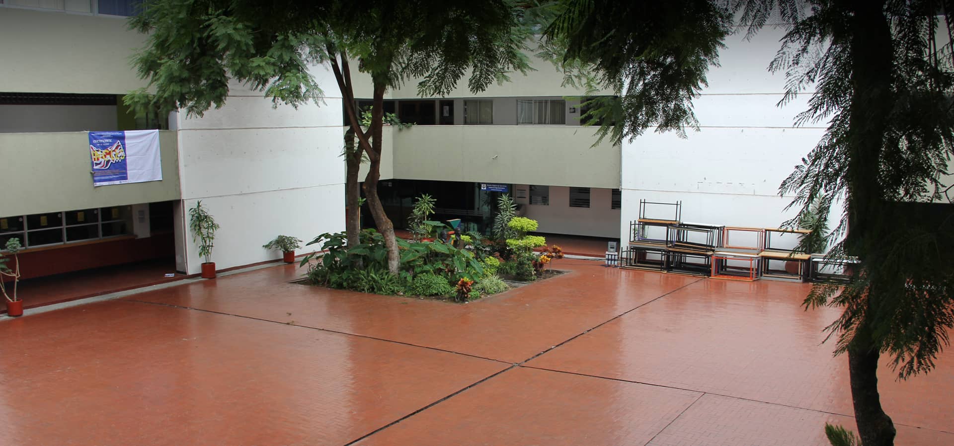 Rectángulo 21114