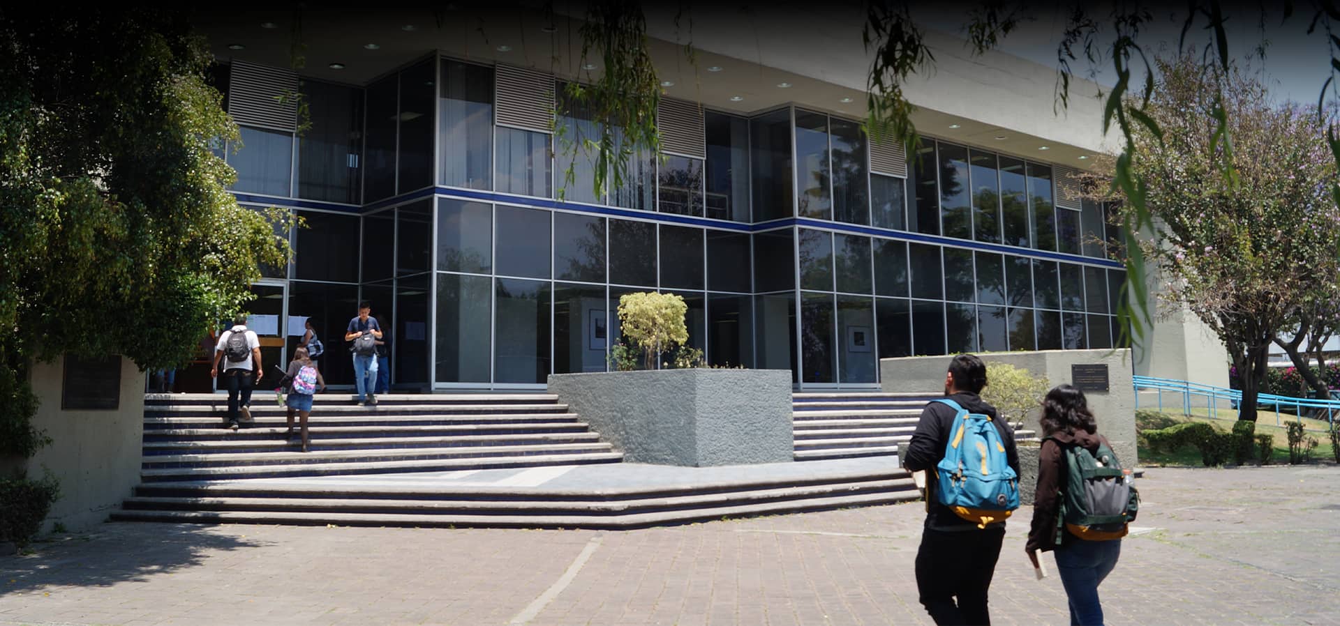 divisiones academicas
